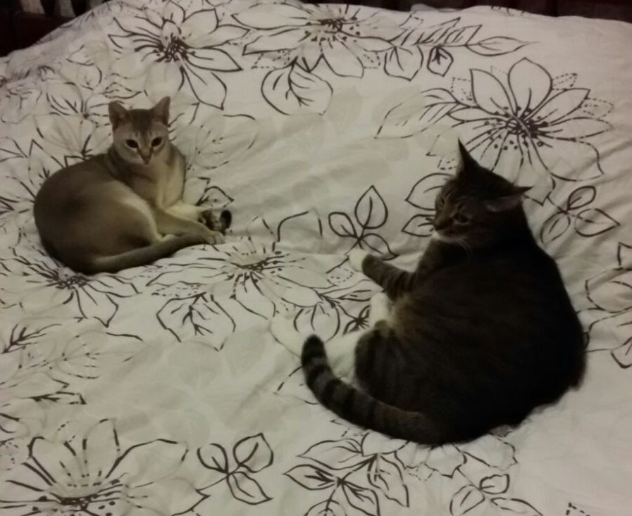 Даже если не бок о бок, то рядом