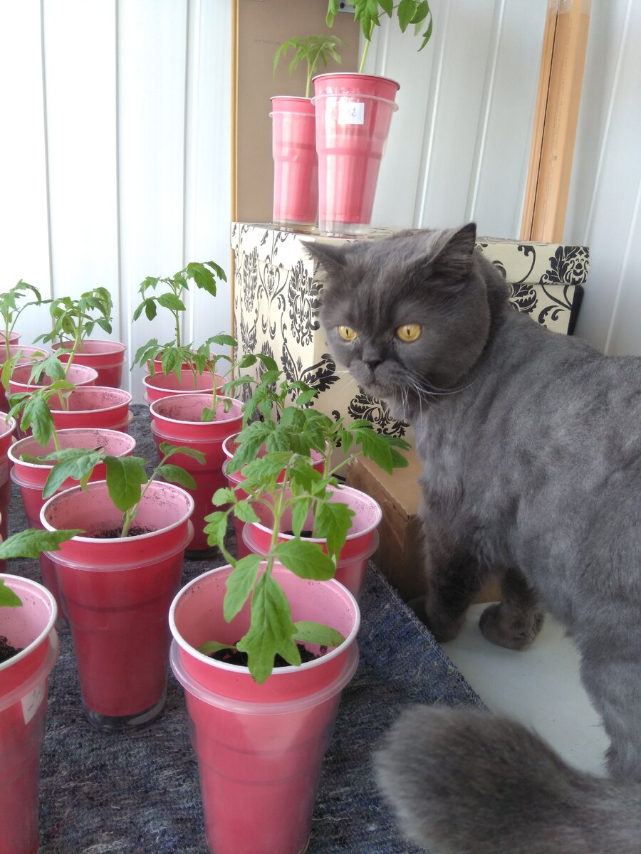 Фото автора.