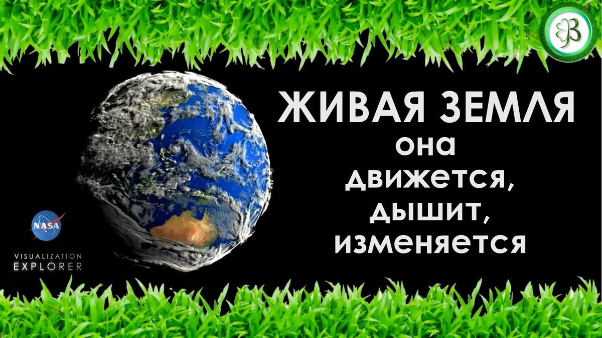 Фото из свободного доступа в Яндекс