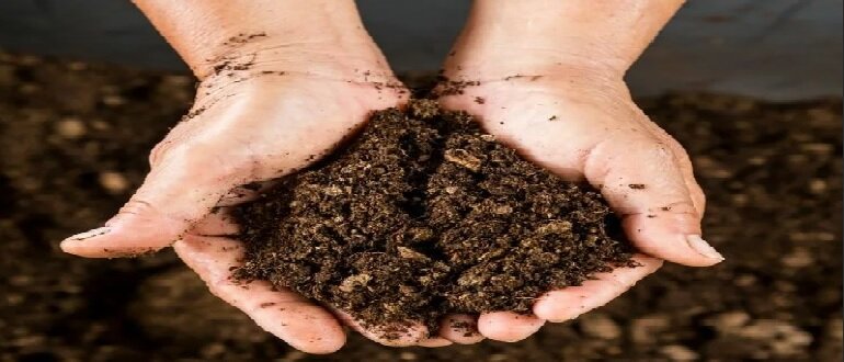 торф как удобрение