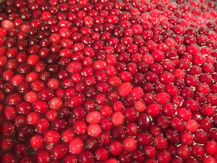 Такие ягоды вижу в сердце аромата. Фото взято https://skinnier.ru/klukva-foto/ 