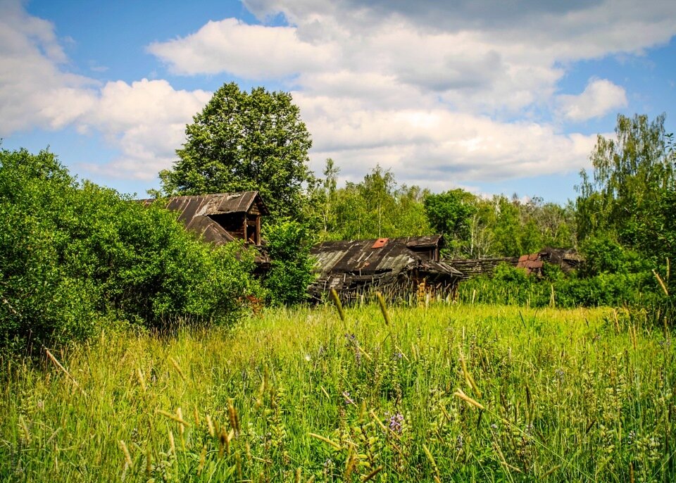 Фото Яндекс. Картинки