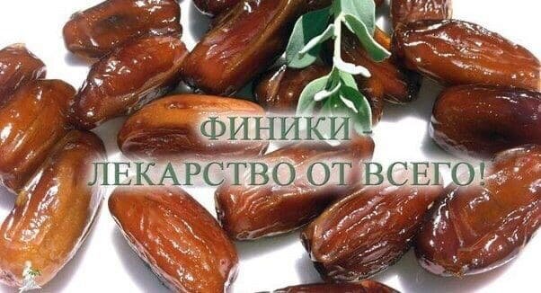 Ешьте больше фиников!