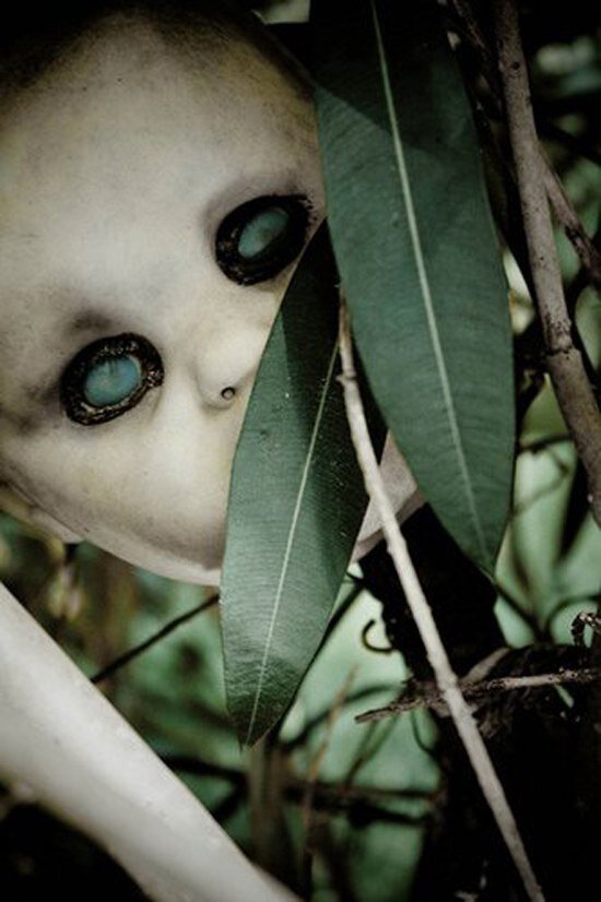 фото из открытых источников