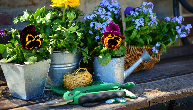 Выбирайте безопасные удобрения.