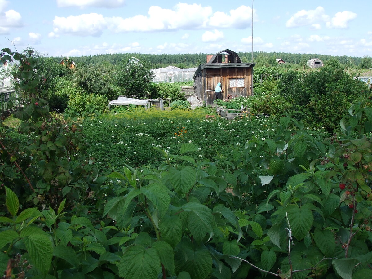 источник картинки https: yandex.ru