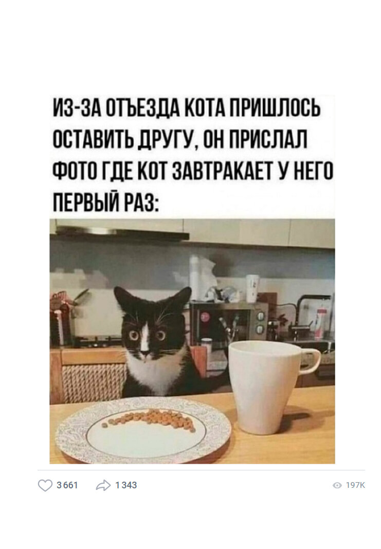 Впервые остался в гостях на передержке, а завтракать за стол посадили. А дома за всю жизнь, ни разу за стол так и не позвали.