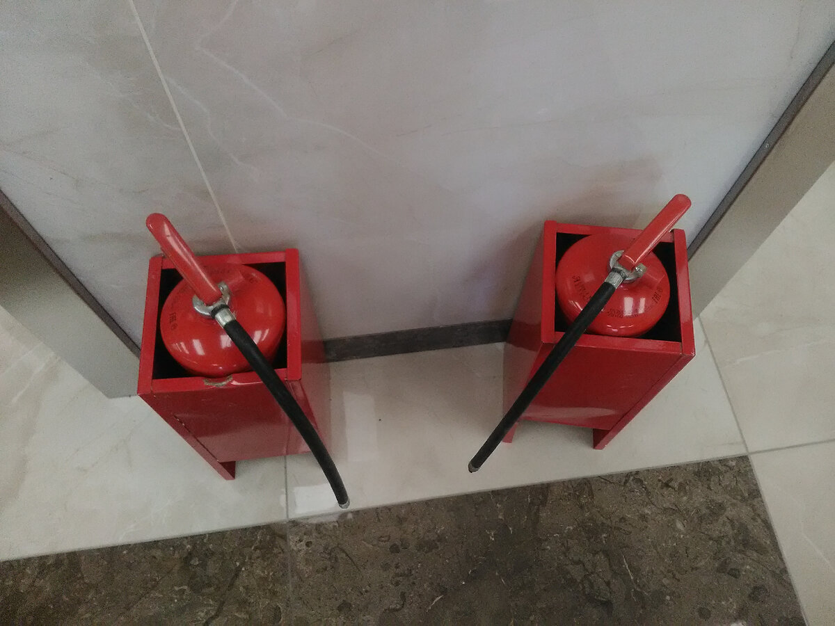 Два малыша по 600 рублей.