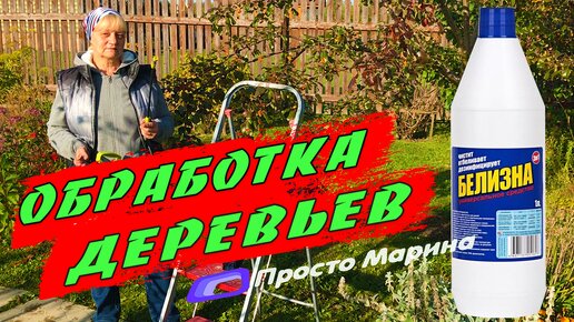 Лечение ржавчины на груше. Осенняя обработка сада белизной и железным купоросом.