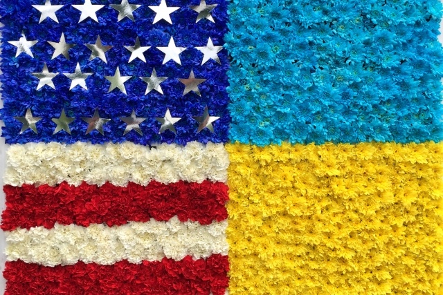 США-Украина (сс) U.S. Embassy Kyiv Ukraine