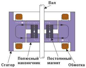 Рис. 6. Продольный разрез гибридного шагового двигателя.