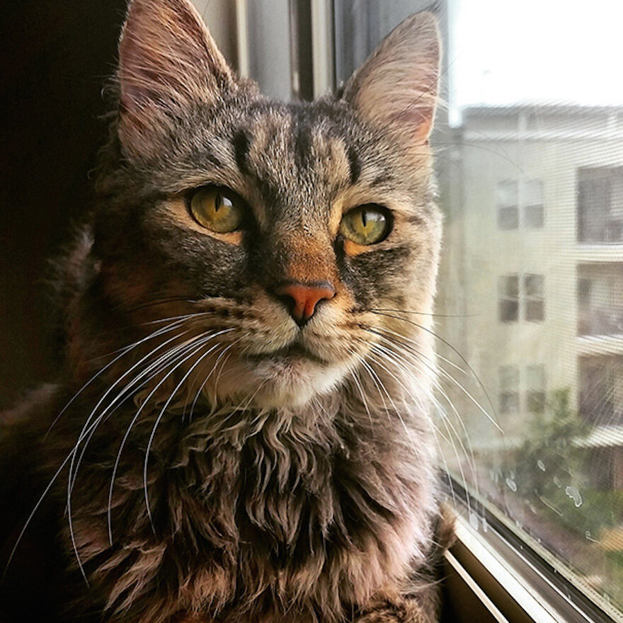 фото из свободных источников