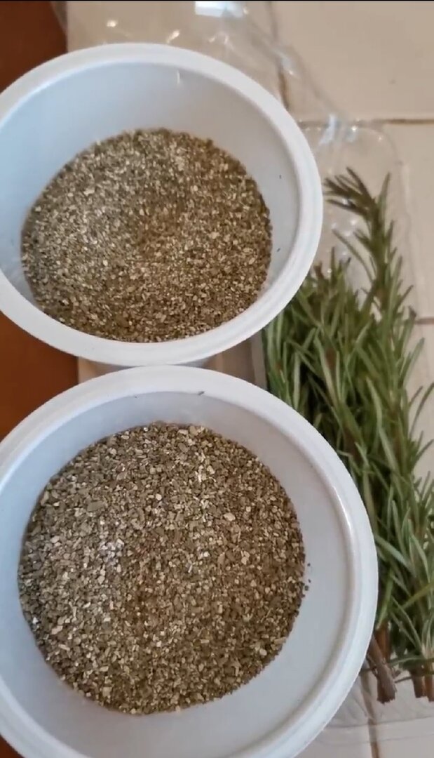 Вермикулит насыпала в стаканчики и пролила водой. 