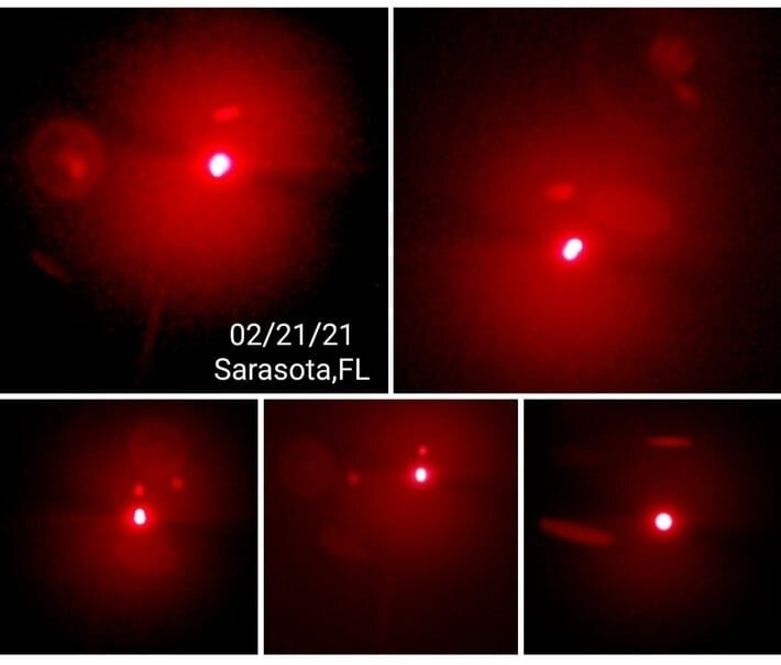 ������ �7� ("������� ������" ) � ��������� �������. ������ ����������� ���������� �� 21.02.2021 �.  � ������������ ��������� �� ����.