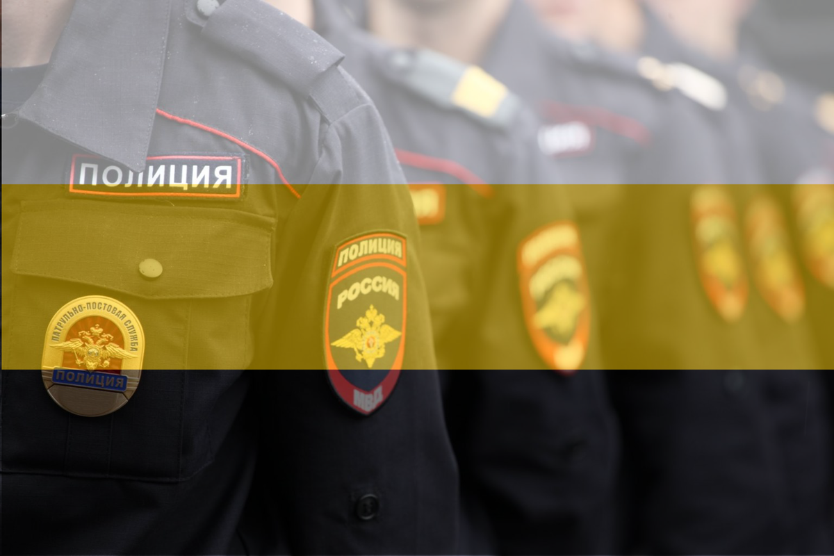 Полиция в России: разбор недостатков структуры и пути их решений ...