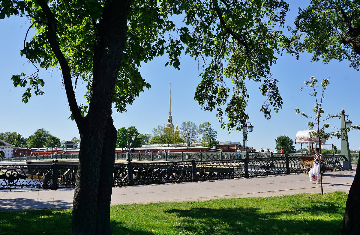 Иоанновский мост. Фото автора.