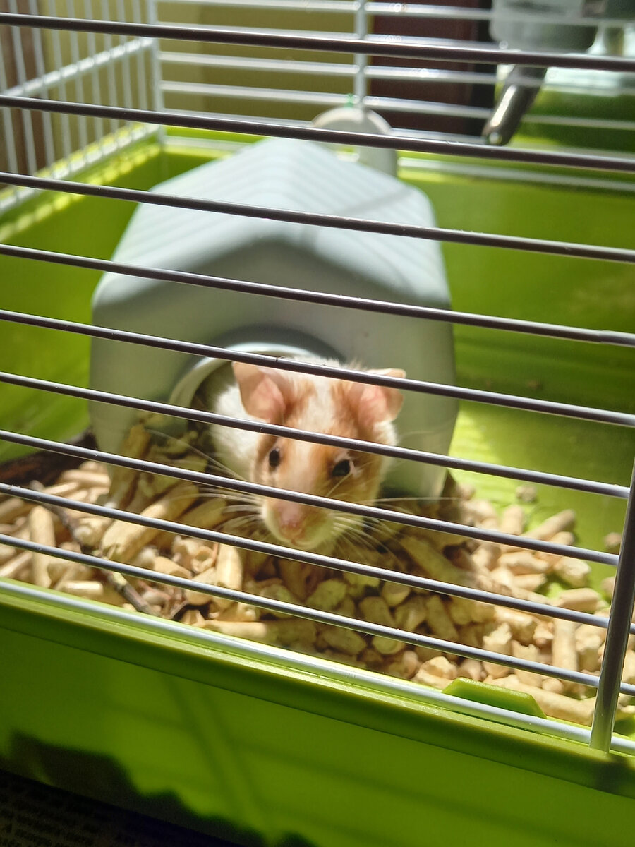 Наша милашка