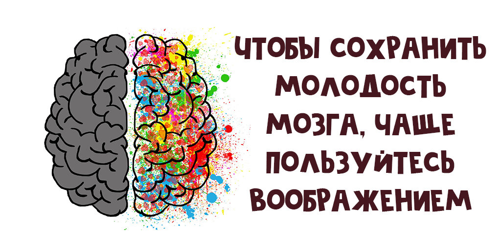 Тренировка мозга с помощью смартфона: истина или вымысел? [Образ жизни obraz]