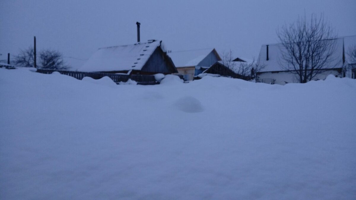 Фото автора.