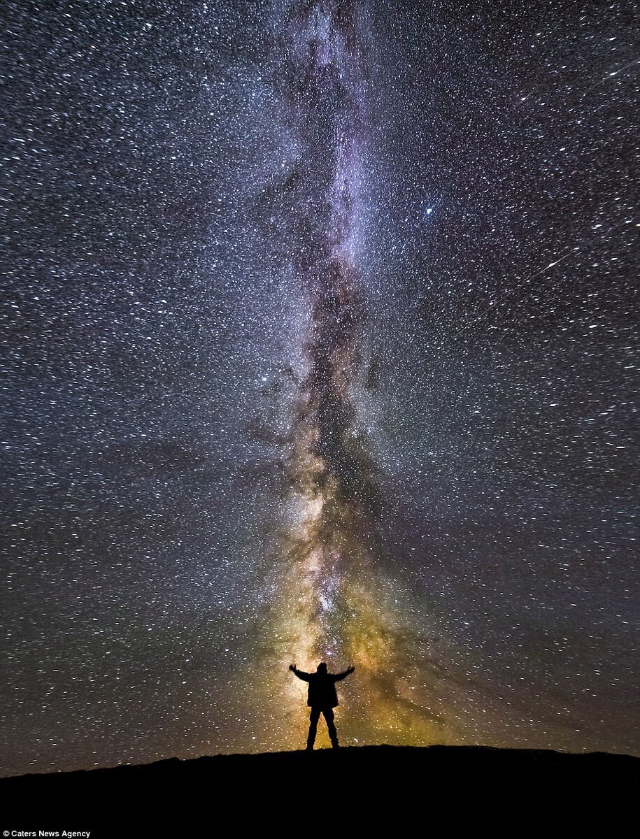 Фото взято из интернета.