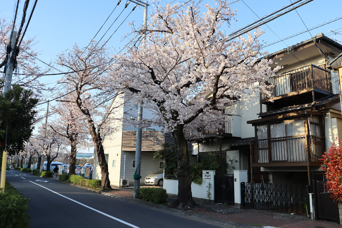 Жилой квартал в Токио.