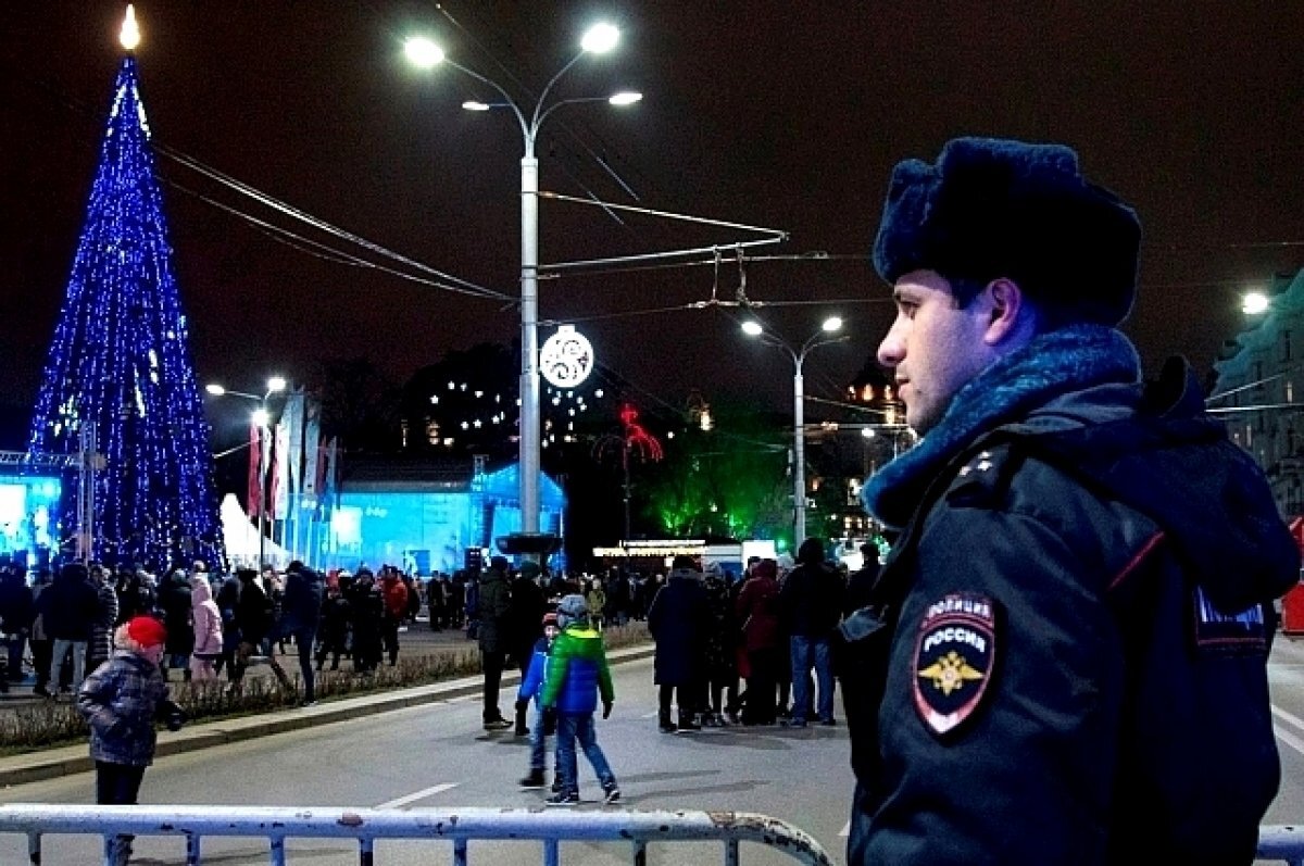    На Дону более 3,5 тыс. человек обеспечат порядок на новогодних праздниках
