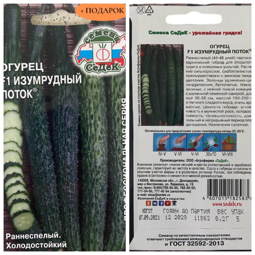 Сорт огурцов “Изумрудный поток”