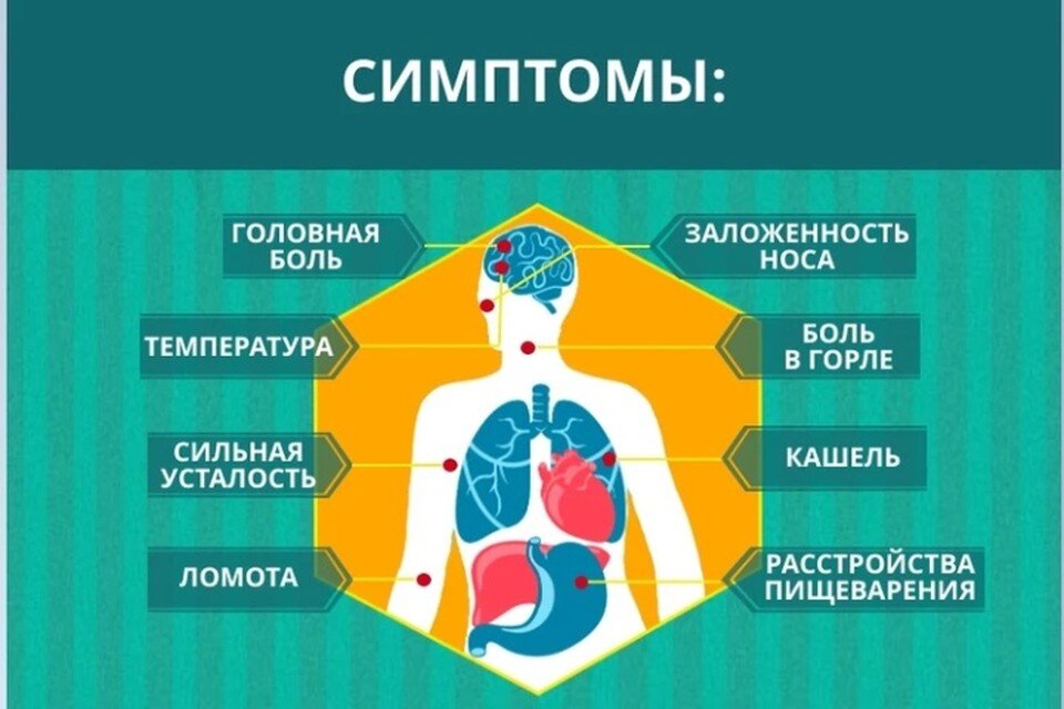     Диагноз грипп поставили 356 жителям региона. Памятка с сайта Роспотребнадзора Иркутской области.