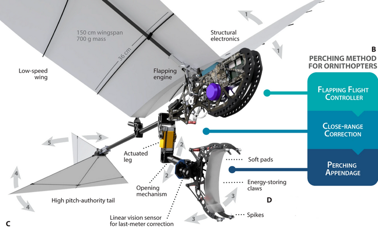     3D изображение орнитоптера P-Flap R. Zufferey et al. / Nature Communications, 2022