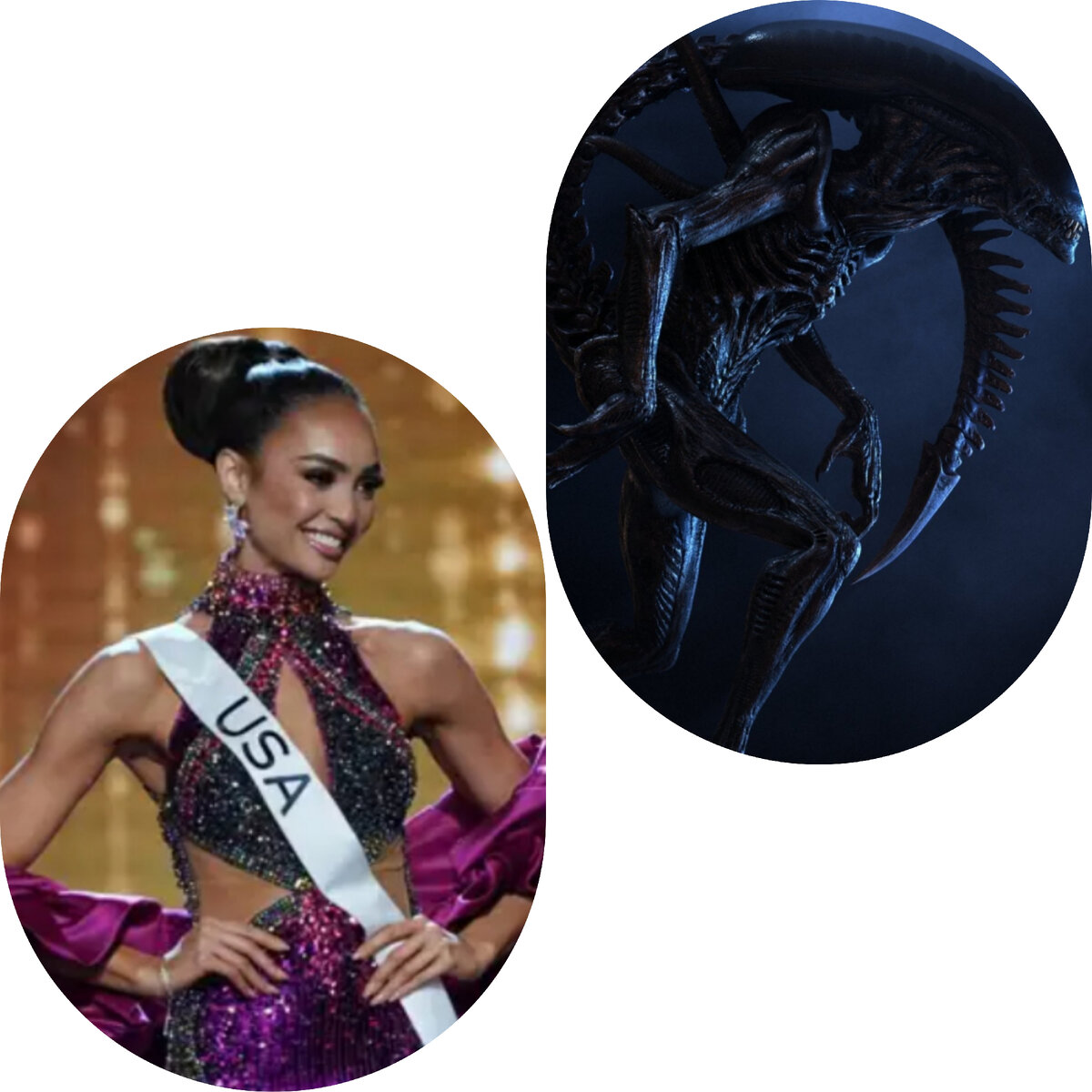 Из интернета 