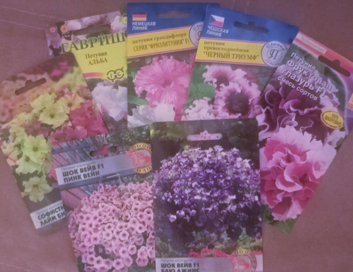 Планы на этот год. Фотография Цветы вокруг нас