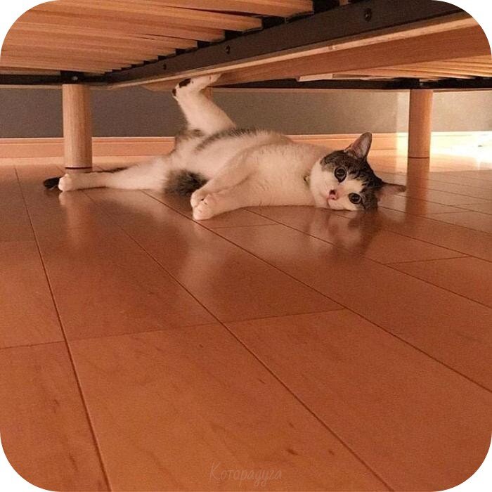 Источник: pinterest.com