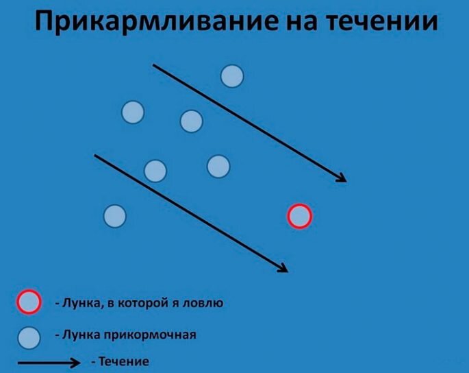 Прикормка для фидера - ключевые моменты приготовления и закорм