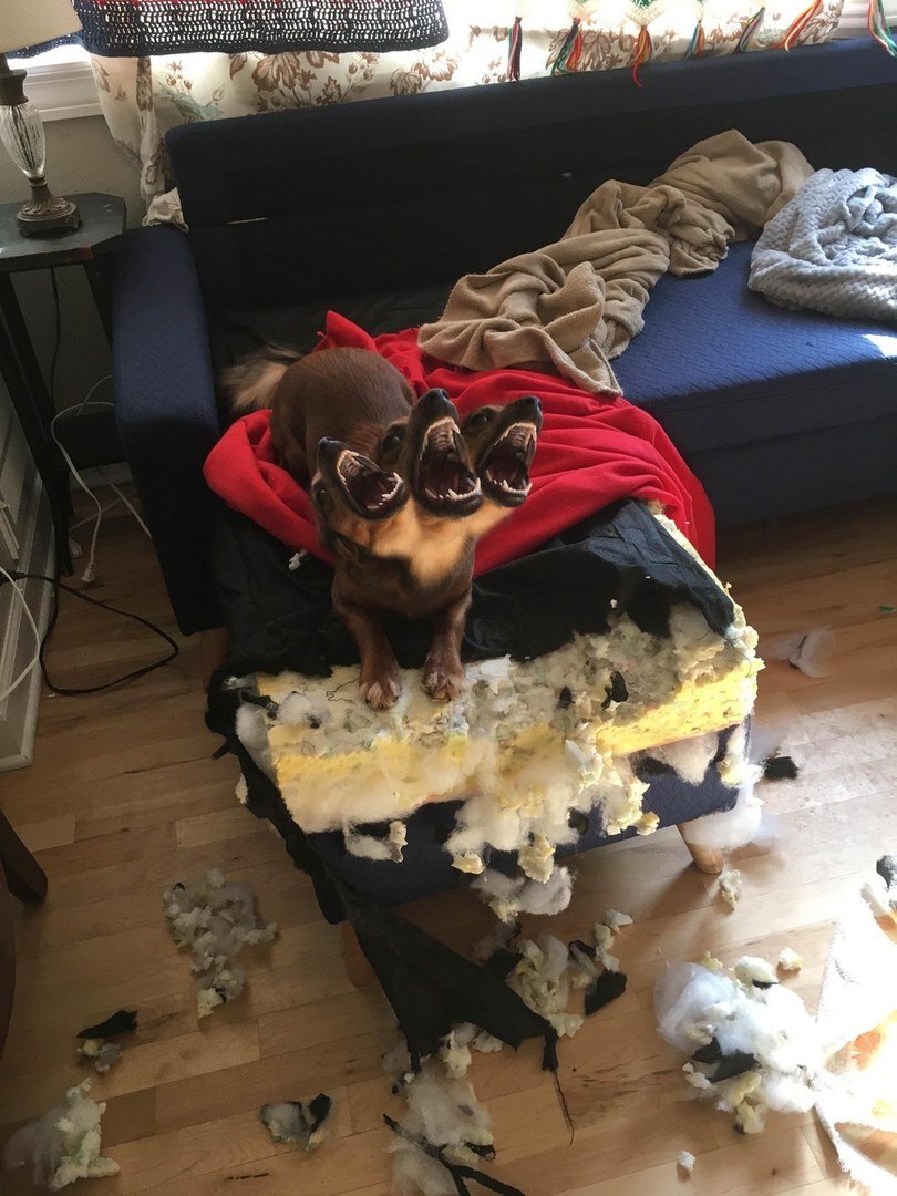 Фото: ©Reddit.com