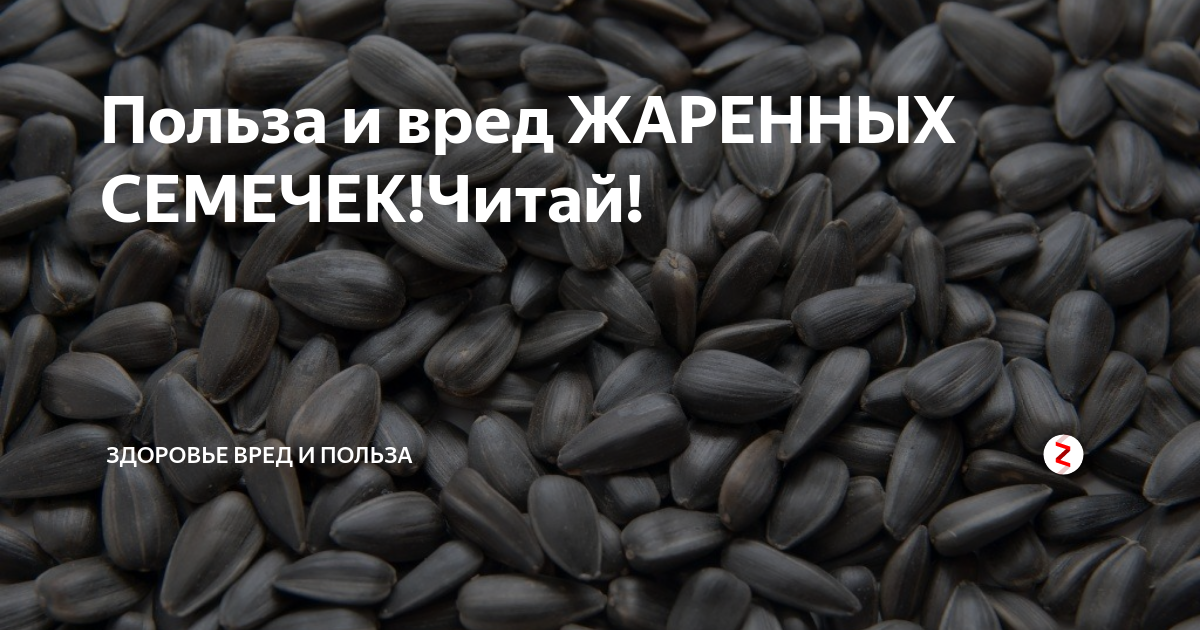 Семечки подсолнуха польза и вред для женщин. Польза и вред семечек. Жареные семечки вредны. Семечки железо. Семечки для железа.