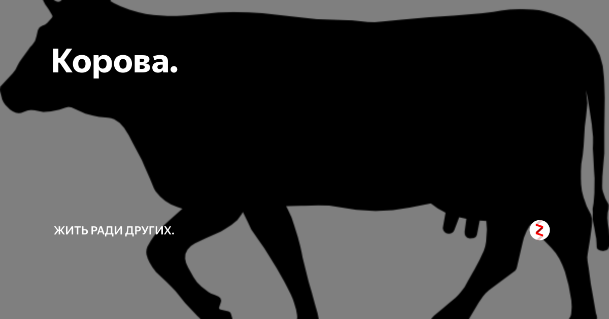 Корова. | Жизнь в Берёзовке. | Дзен