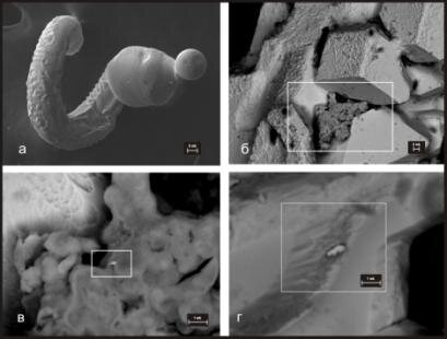 Вот так выглядит микроспираль самородного вольфрама