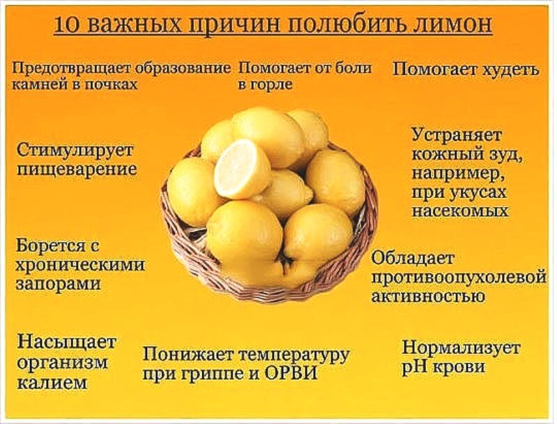 сладкое, солёное, кислое, горькое, острое, почему нас на это тянет?