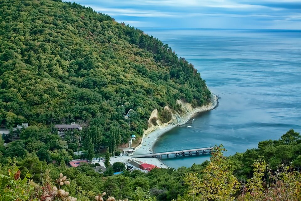 Дивноморское лес. Черное море Джанхот. Хутор Джанхот. Побережье черного моря Джанхот.