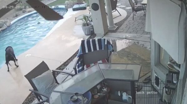 Скриншот/Laurie Sorsen Becerra/facebook.com