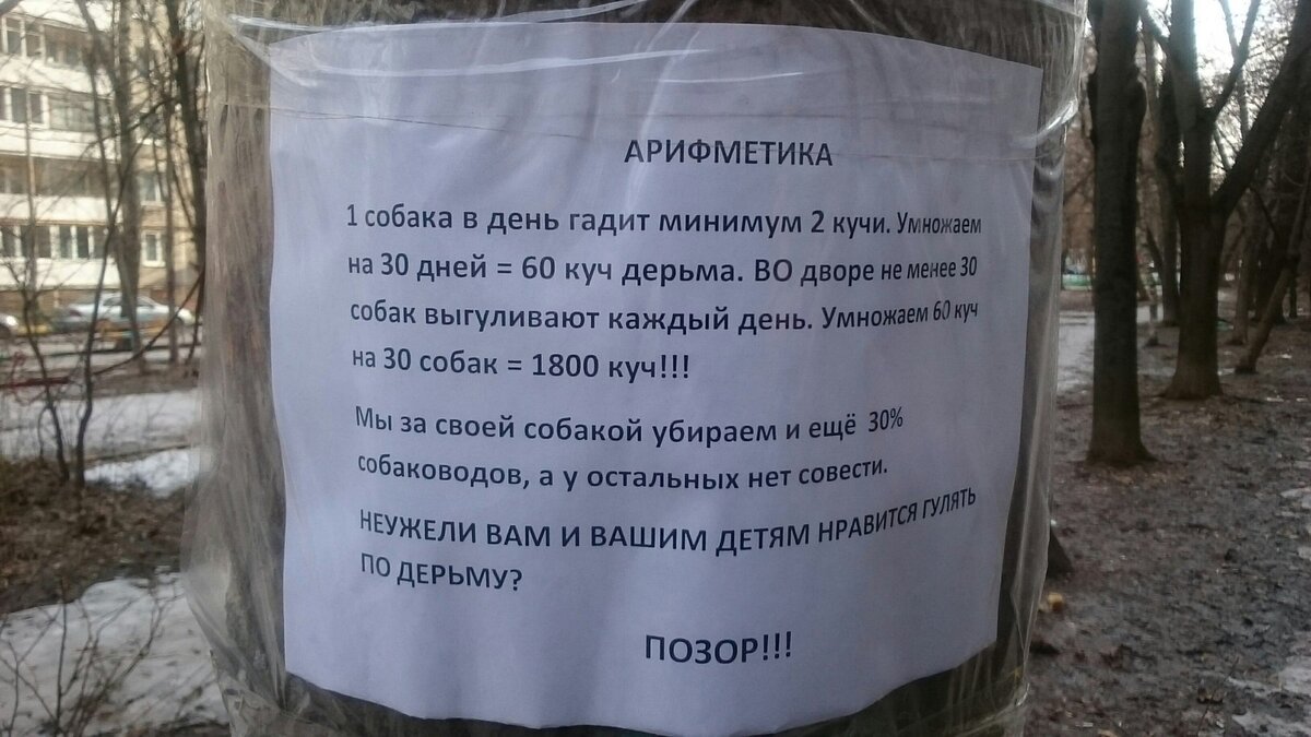 Объявление о сходке