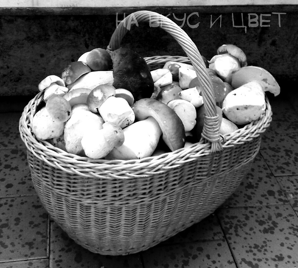 белые грибы