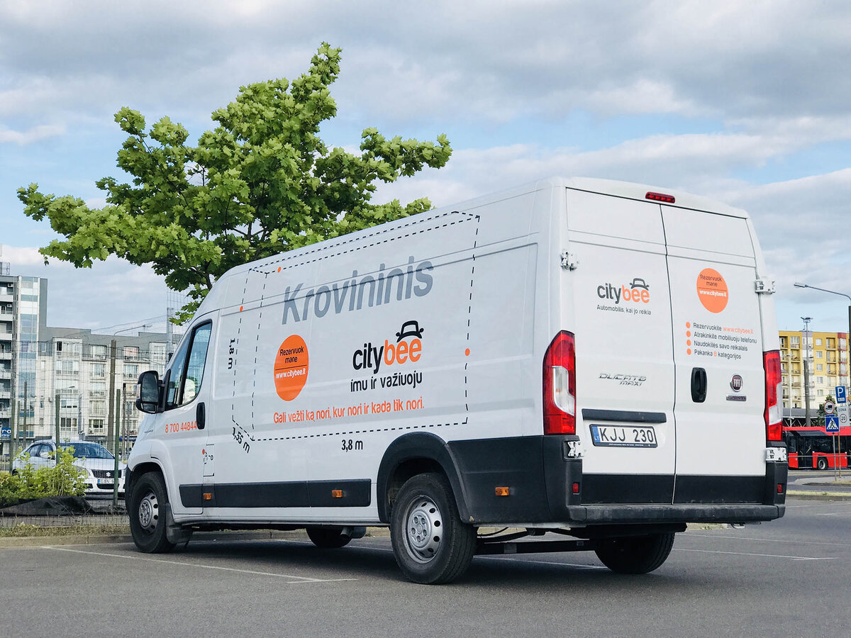 Фото Каршерского Кота