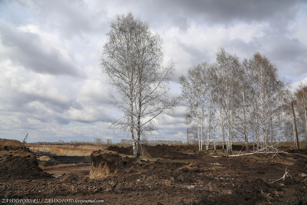 Погода переясловка рыбинский красноярский