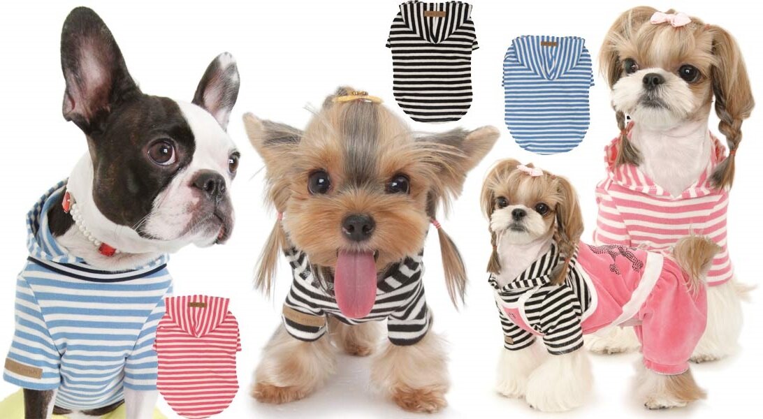 платье для собак. одежда для собак. одежда для животных оптом. Asmpet одежда для собак. валберис одежда для собак йорков.