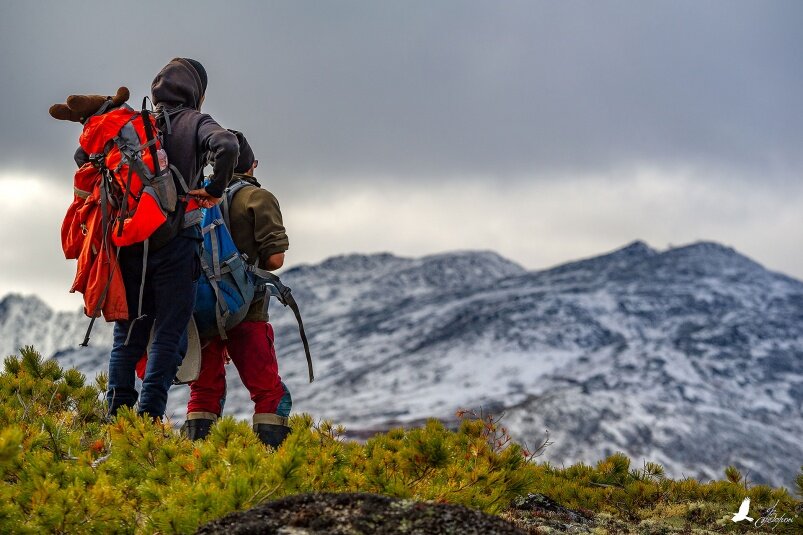 Фото: Алексей Ворон