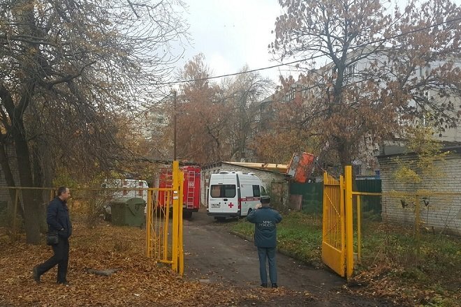 (фото с сайта www.vgoroden.ru)