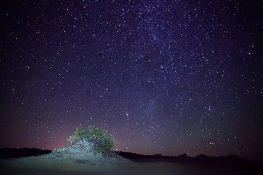 Безлунная ночь. Источник: nat-geo.ru