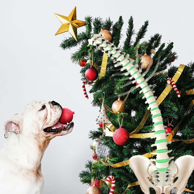 Как страдает наша спина во время праздников