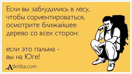 Если вы заблудились в лесу